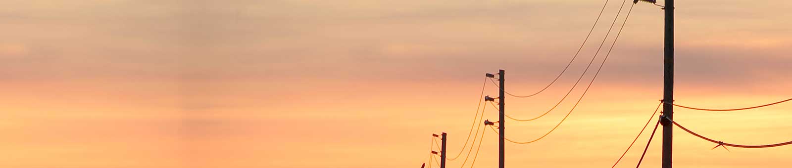 Exelon photo