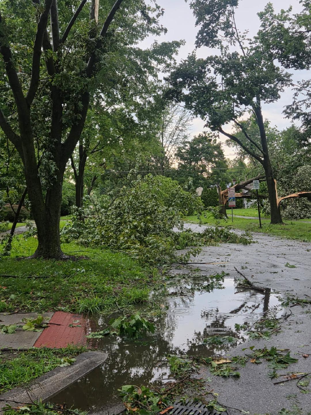 Street showings storm damage and trees down.