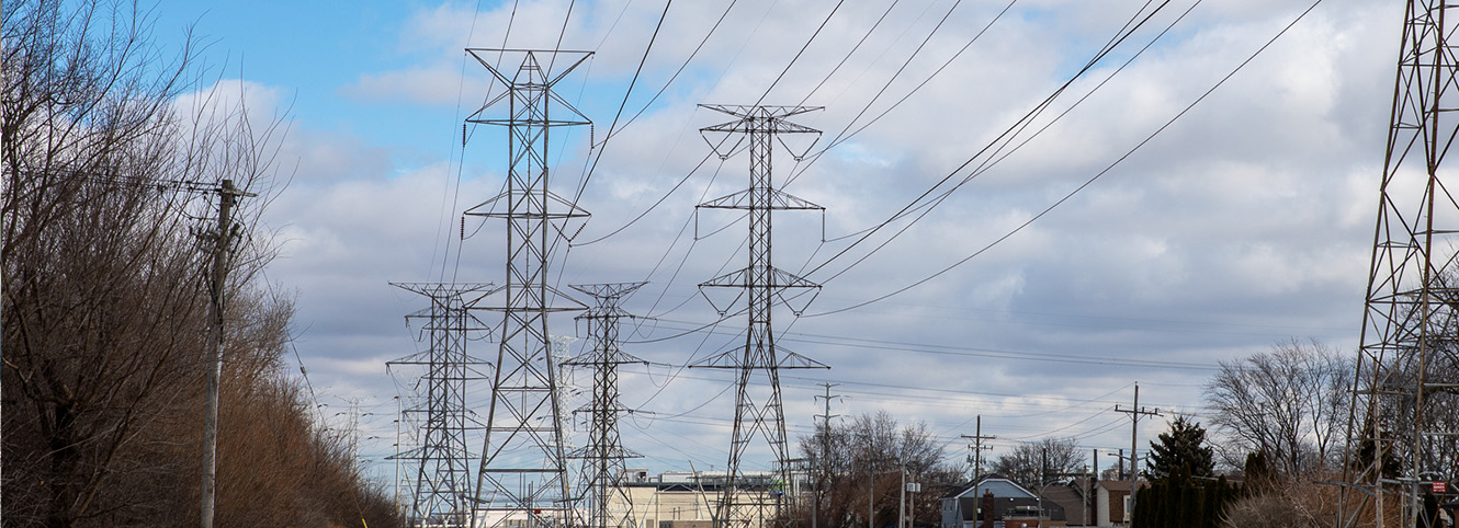 Electric poles surrounded by trees