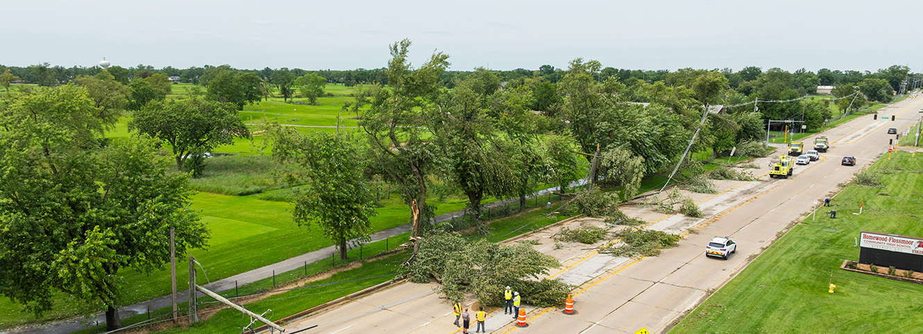 broken trees due to strom