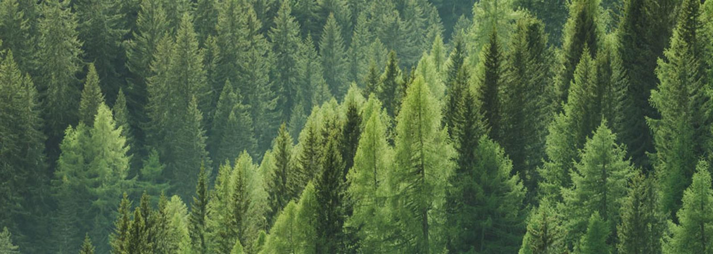 Sustainability