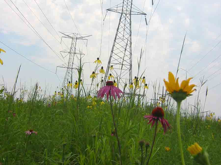 Exelon Committed to Sustainability